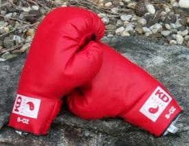 Youth Boxing Gloves